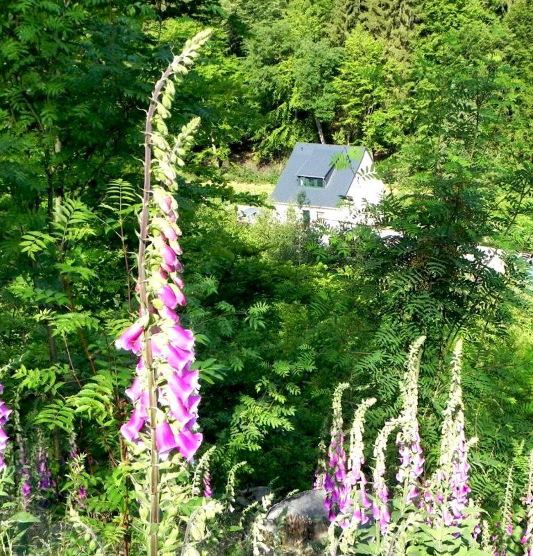 Ferienhaus Buschmuehle - Stolpen Buitenkant foto