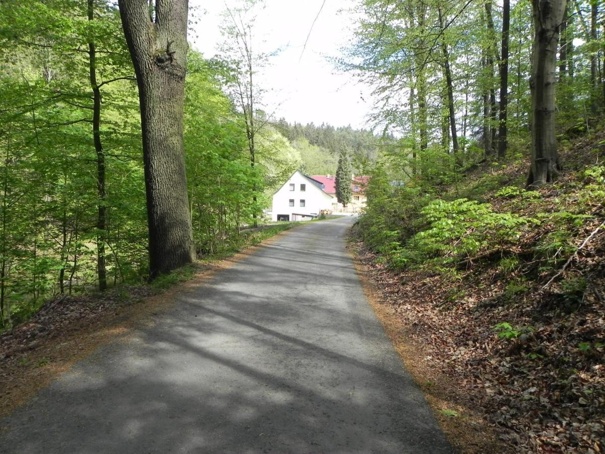 Ferienhaus Buschmuehle - Stolpen Buitenkant foto